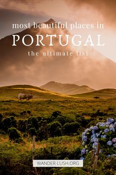 a field with blue flowers in the foreground and a mountain in the background that reads, most beautiful places in portugal the ultimate list