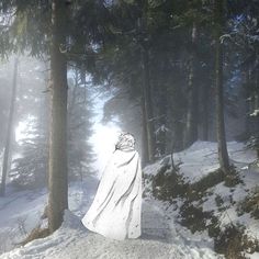 there is a white cloth draped over a tree in the middle of a snow covered forest