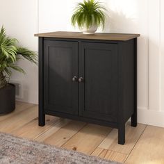 a potted plant sitting on top of a wooden cabinet next to a rug and door