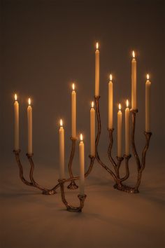 a group of lit candles sitting on top of a wooden branch in front of a gray background