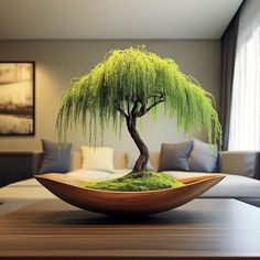 a bonsai tree sitting on top of a wooden bowl in front of a couch