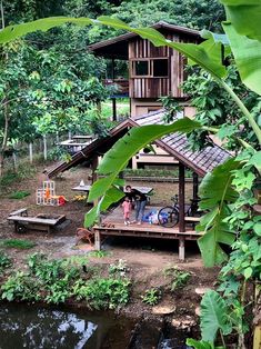 a small wooden structure in the middle of some trees and plants near a body of water