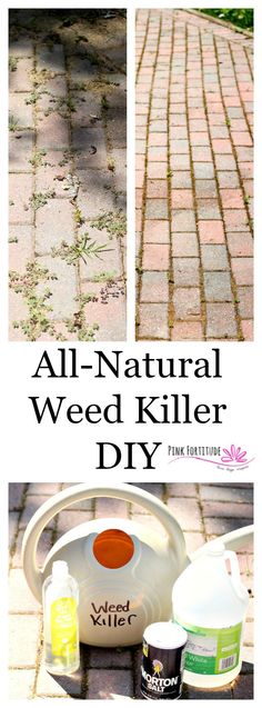 Did you know that glyphosate, used in Roundup, is one of the most toxic chemicals on the planet? There are plenty of all-natural ways to eliminate weeds. One of my favorite is this quick and easy weed killer DIY. It's great to use on pavers, sidewalks, and gravel or stone areas where weeds pop through. Bonus - no harmful chemicals! Stone Walkways, Garden Terrace, Toxic Chemicals, Yard Work, Terrace Garden, Lawn And Garden, Lawn Care, Garden And Yard, Organic Gardening