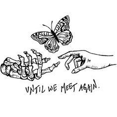 two hands reaching for a butterfly that is flying towards each other with the words, until we meet again