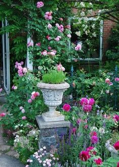 a garden filled with lots of different types of flowers