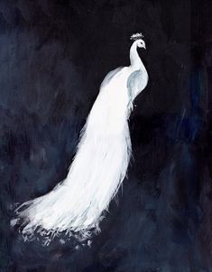 a painting of a white peacock on a black background with the tail feathers spread out