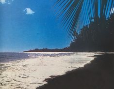 a beach with waves coming in to the shore and palm trees on the other side