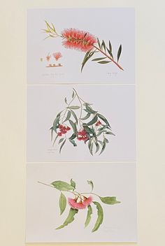 three different types of flowers are shown on the wall