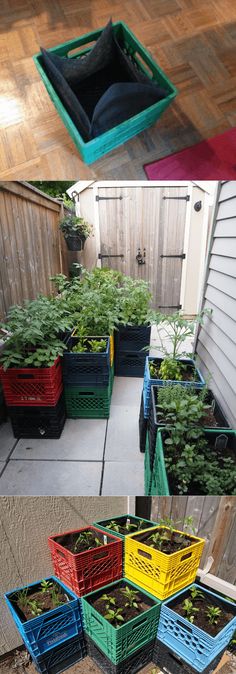 several different types of crates with plants in them