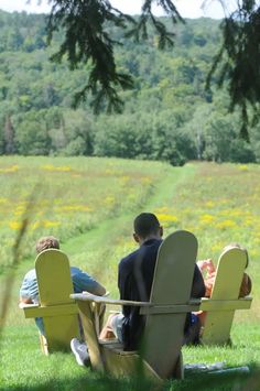 two people sitting on lawn chairs in front of a field full of yellow wildflowers