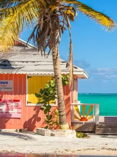 a small building with a palm tree in front of the ocean and blue sky behind it