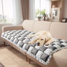 a dog laying on top of a couch in a living room