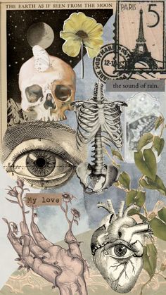 the collage is made up of various images and words, including an eye, skeleton, flowers, and other things