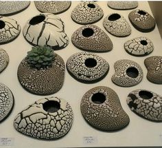 there are many vases that have been made to look like rocks with plants growing out of them