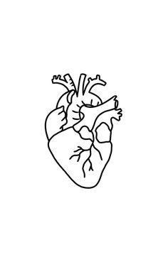 a black and white drawing of a human heart