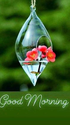 a hummingbird feeder with flowers in it and the words good morning hanging from it