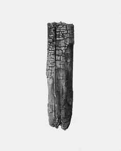 a black and white photo of a piece of wood