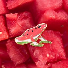 a frog pin sitting on top of watermelon slices