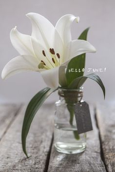 a white flower sitting in a glass vase on a wooden table with a tag attached to it