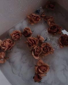 some brown flowers are in a white box with water droplets on the bottom and sides