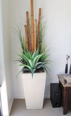 a tall plant in a white pot next to a table with a phone on it