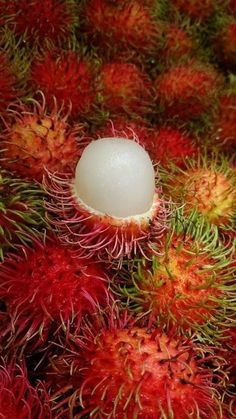 rambutans with one white egg in the middle