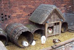 several chickens are eating out of buckets in front of a red brick building with thatched roof