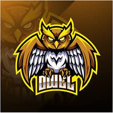 an owl mascot with the word duke on it's chest and head in the center