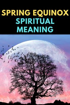 the cover of spring equinox's book, spirital meaning