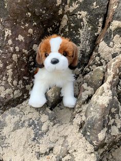 a small stuffed dog sitting on top of a rock