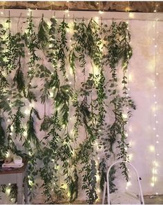 an indoor wall covered in greenery and fairy lights