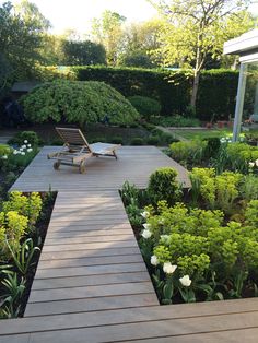 a wooden walkway leading to a garden with white flowers