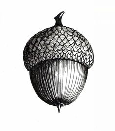 a black and white drawing of a bird on top of a netted acorn