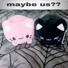 two black and pink cats sitting next to each other on a bed with the caption maybe us?