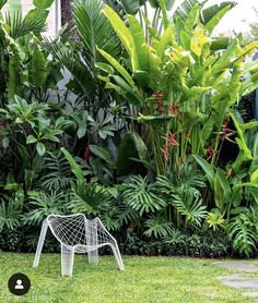 a white chair sitting in the middle of a lush green yard with lots of plants