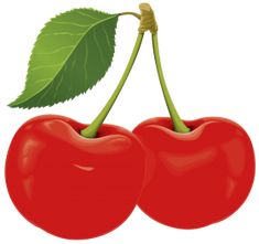 two cherries with green leaves on white background