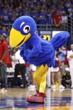 a blue bird mascot standing on top of a basketball court