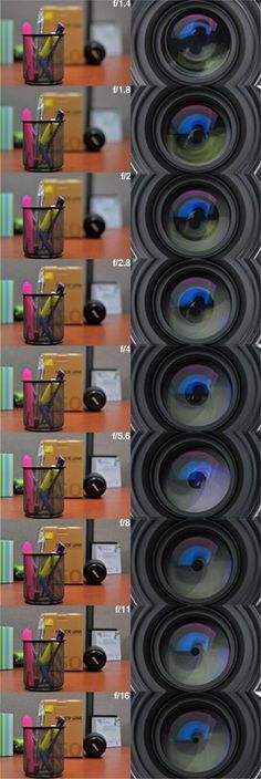 several rows of different colored cameras with their lids open and showing the camera's lens colors