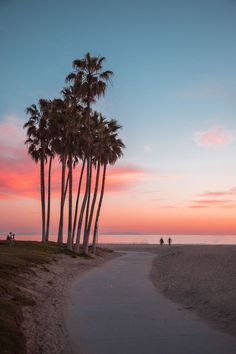 palm trees line the beach as people walk on the sand at sunset with pink and blue skies in the background