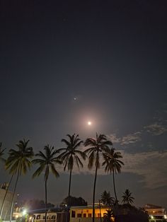 palm trees and the moon are lit up in the night sky over a parking lot