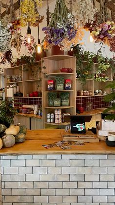 a counter in a store filled with lots of different types of flowers and plants hanging from the ceiling