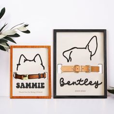 two framed pictures with the same dog's collar and name on them, one has a leather belt