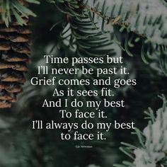 pine cones hanging from a tree with the quote time passes but i'll never past it