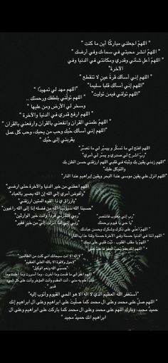 the words are written in arabic and english on a black background with palm leaves at night