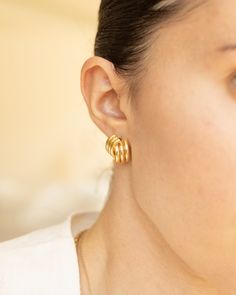 Add some flair to your outfit with our Charlotte Earrings. These chunky gold earrings will give you vintage inspired, statement-making style with old money vibes. Perfect for any occasion. Details: -Gold filled -Hypoallergenic, Waterproof, Tarnish Free Gold Earrings Outfit, Old Money Earrings, Old Money Jewelry, Money Earrings, Chunky Gold Earrings, Family Pic, Jewelry Styles, Earrings Trendy, Old Money Style