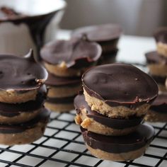 chocolate covered cookies sitting on top of a cooling rack