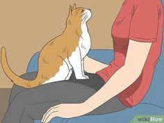 a cat sitting on the lap of a woman who is looking up at it's owner