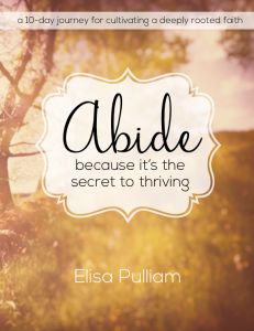 a book cover with the words abide, because it's the secret to thriving