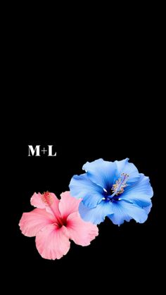 two blue and pink flowers with the word m l above them on a black background