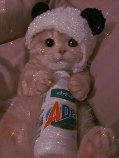 a cat wearing a hat and holding a bottle